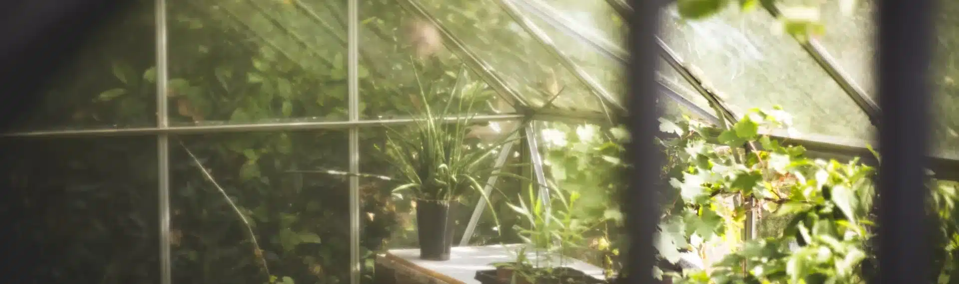 Gartenhaus mit Gartengeräten und vielen Pflanzen