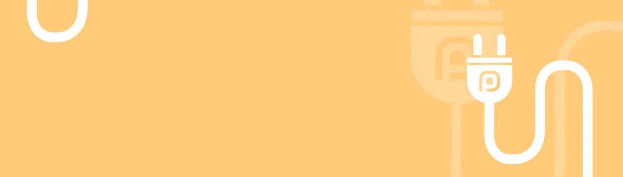 Pamyra Stecker mit Kabel