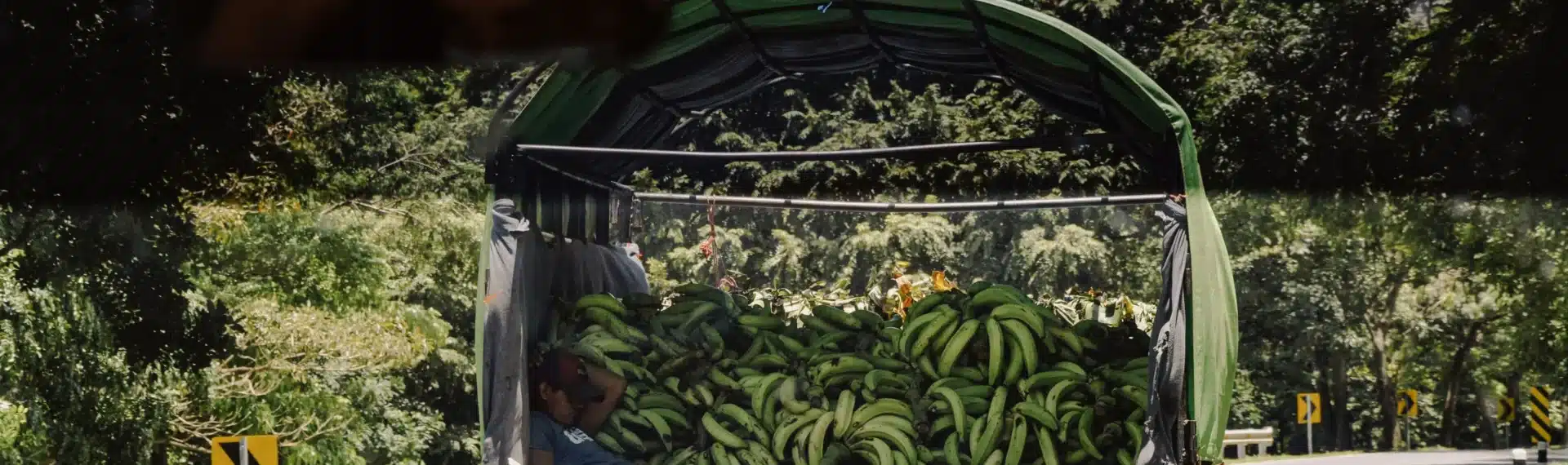 Lebensmittel-Transport von Bananen