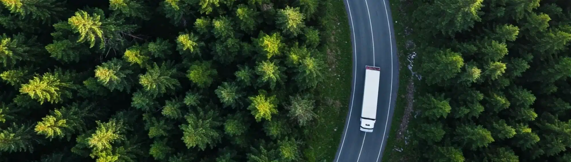 LKW fährt durch den Wald auf ieiner geschlängelten Straße